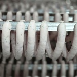 Kiełbasa biała z indyka delikatesowa 0,3kg